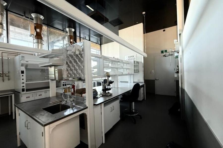 Bright, modern laboratory with long workbenches, sinks, shelving, ventilation hoods, microscopes and shared scientific equipment.
