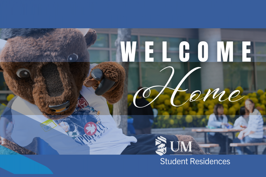 Welcome Home - Billy the Bison
