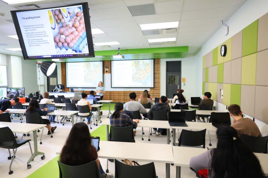 Students learning in a classroom