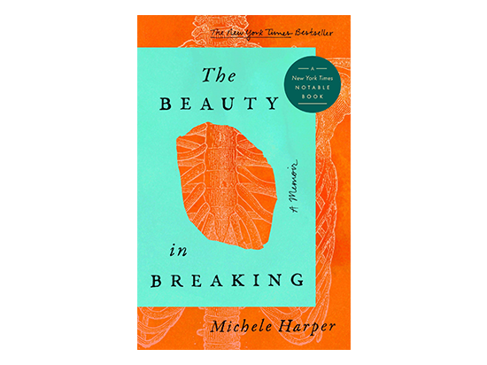 The Beauty in Breaking book cover