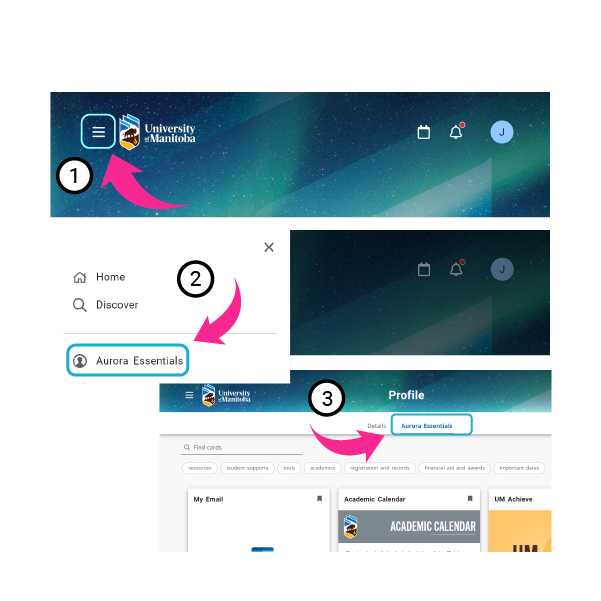 steps to accessing Aurora Essentials.