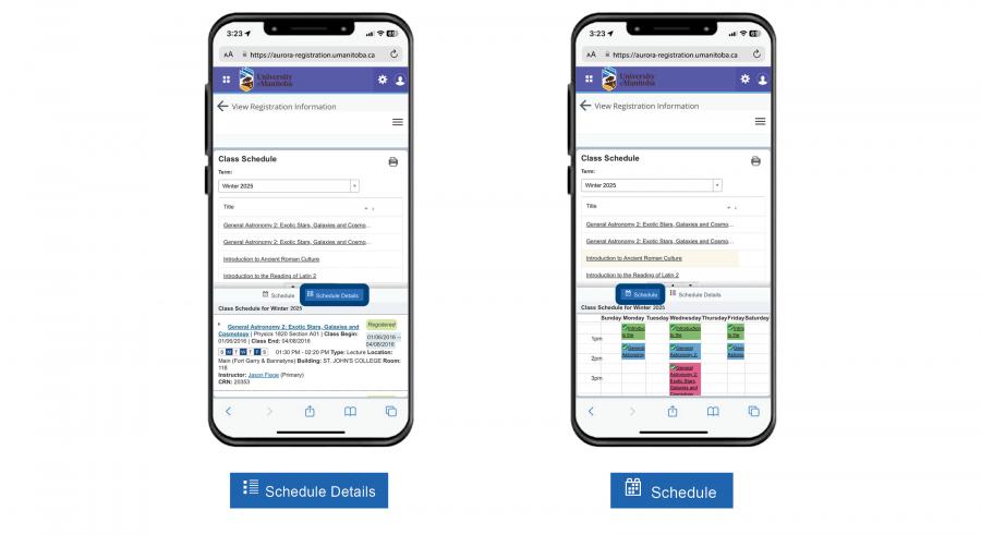 An image displaying two phones, with a diagram showing the options within the View Registration Information page.