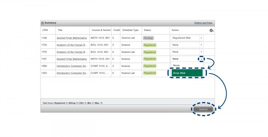 A screenshot of the Registration Summary panel, showing the process of removing a course.