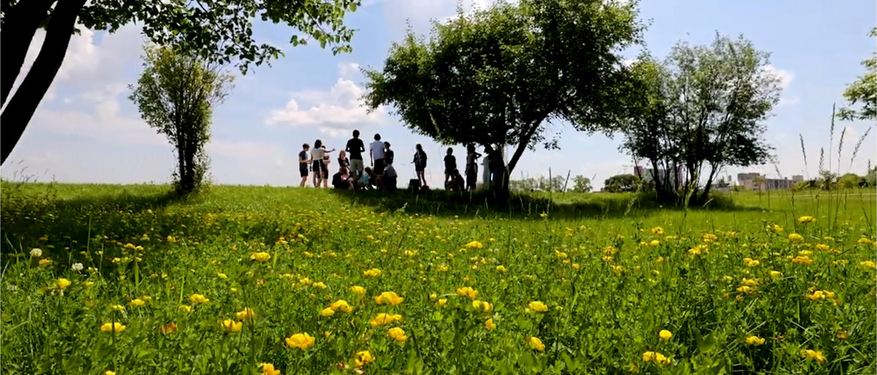A group of people in a green field standing under trees.