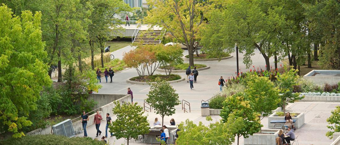 Aerial photograph overlooking a walkway and patio seating areas surrounded with green trees and shrubs