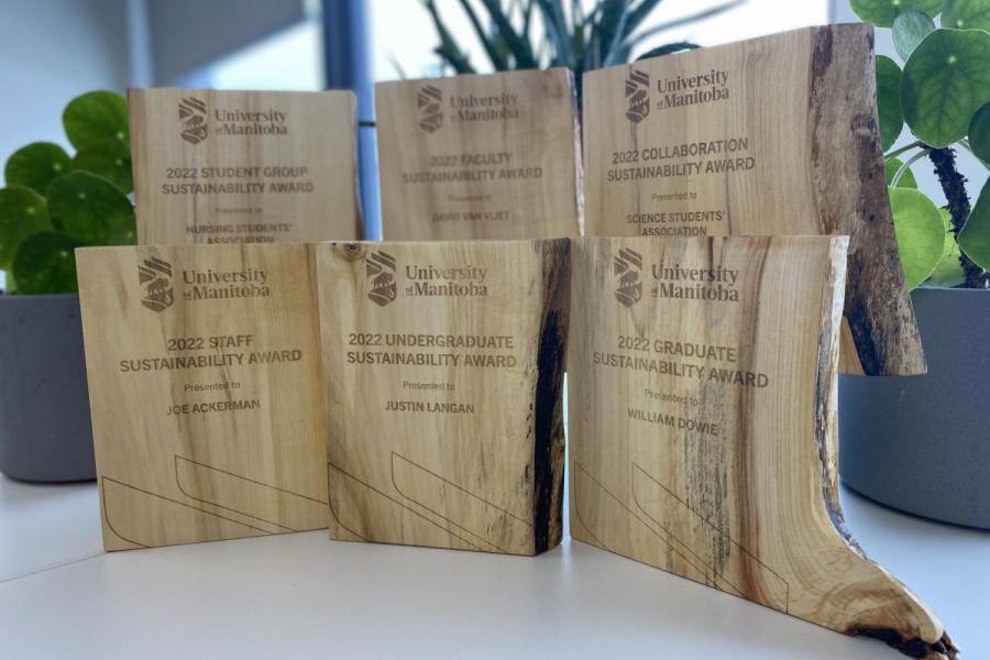 Wooden awards in front of a window