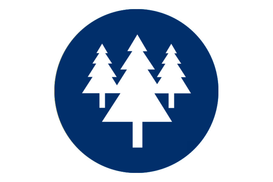 A graphic of a dark blue circle with a white icon of pine trees in the middle.