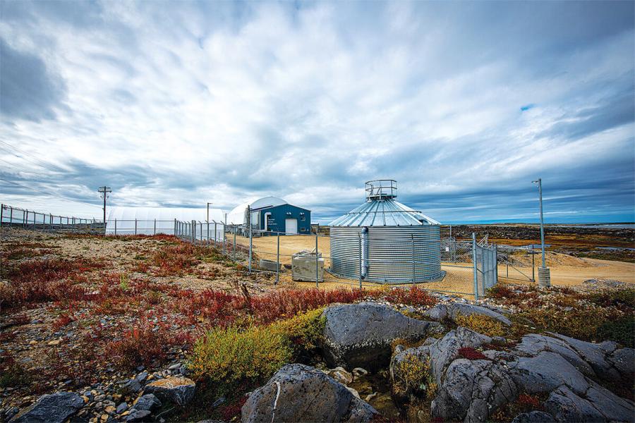 A northern landscape in May with colourful foliage, set on a coast. A blue building is in the background beneath a bright cloudy skyline.