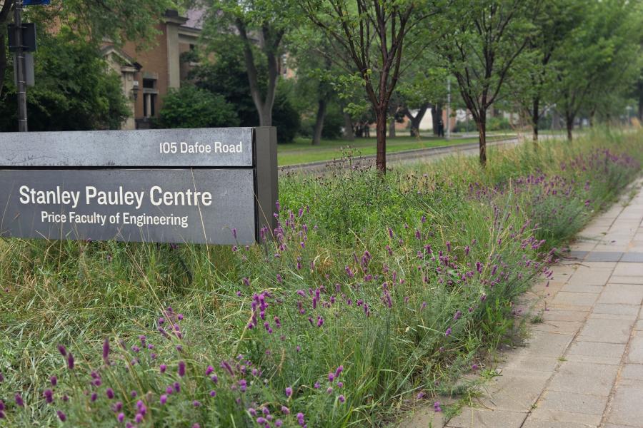 Native prairie grasses and wildflowers in front of Stanley Pauley building.